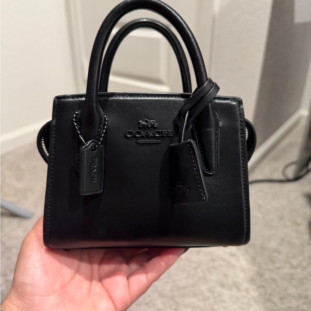 Coach Mini Andrea Carryall
